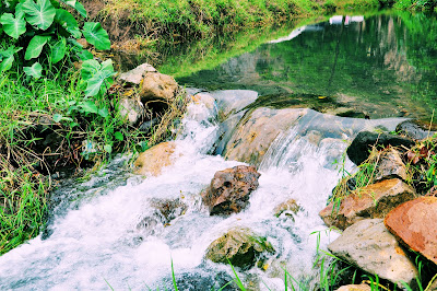 Riachuelo de agua viva, clara, diáfana y transparente.