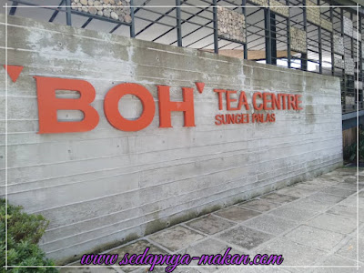 BOH Sungai Palas Tea Centre