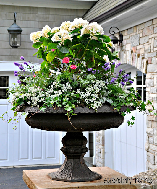 Summer Urn Planter Container Garden Hydrangea Lavender Rose Ivy Grey White Green Pink Purple