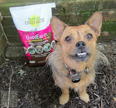 Jada with a bag of St. Gabriel Organics Good Earth