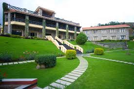 Green pastures