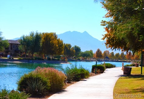 2. Sahuarita lake-kab