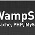 How to resolve msvcr110.dll missing error when installing wamp server 2.5 on Windows?