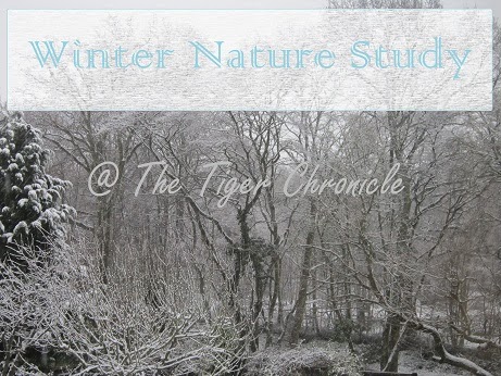 http://thetigerchronicle.blogspot.co.uk/search/label/winter