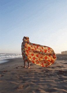 صور متحركة بصيغة gif