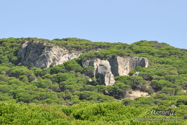 Duna de bolonia - Punta Camarinal - Cabo de Gracia