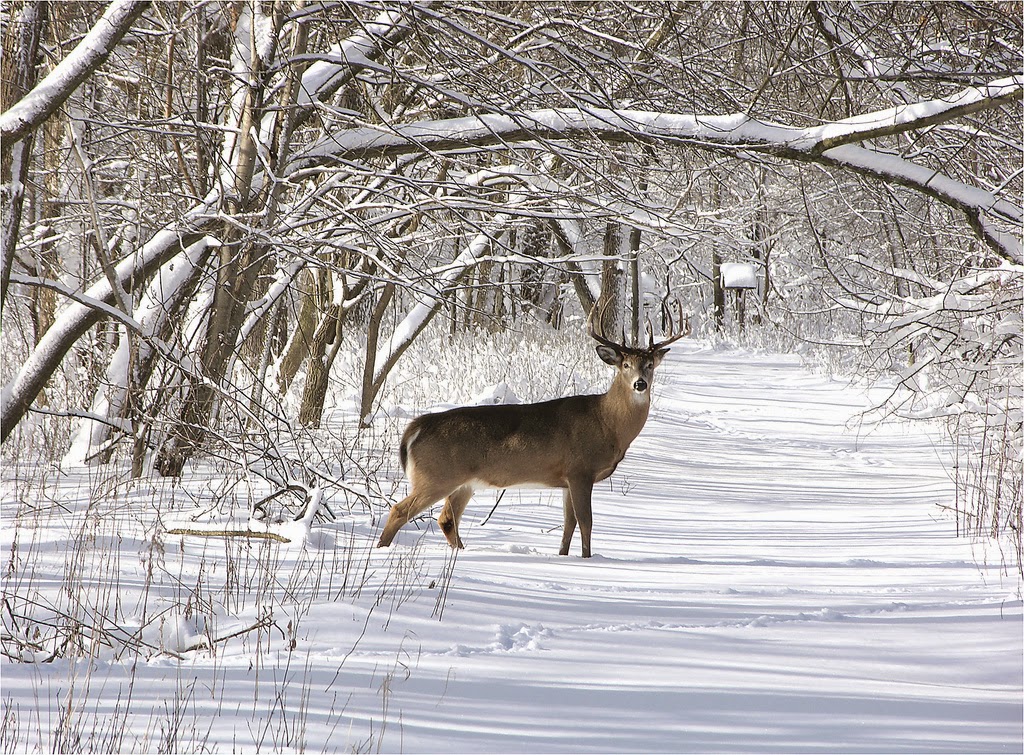 great scenery in winter (January)