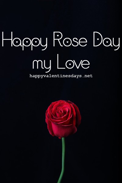 Happy Rose Day my love images
