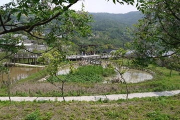 P1150293