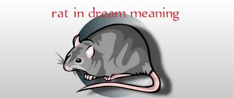 Recent,R,Rat in Dream Meaning,