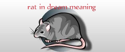 Rat in Dream Meaning