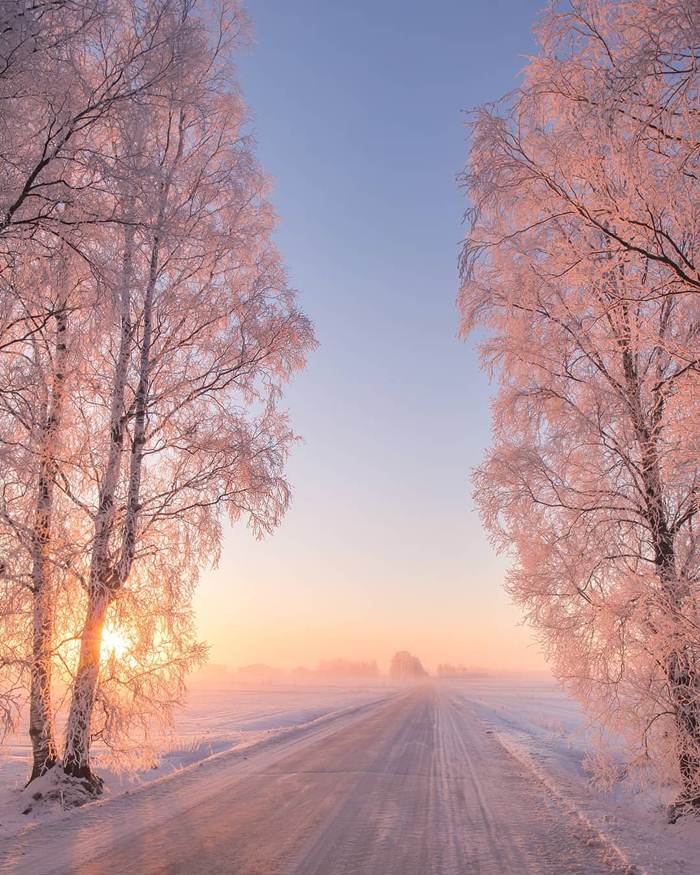 Winter nature of Finland through the lens of Jukka Risikko