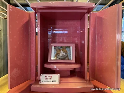 laquer-ware pink cat altar in gift shop at Iiyama Museum of Traditional Folk Industry in Iiyama city, Japan