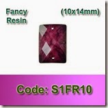 S1FR10 copy