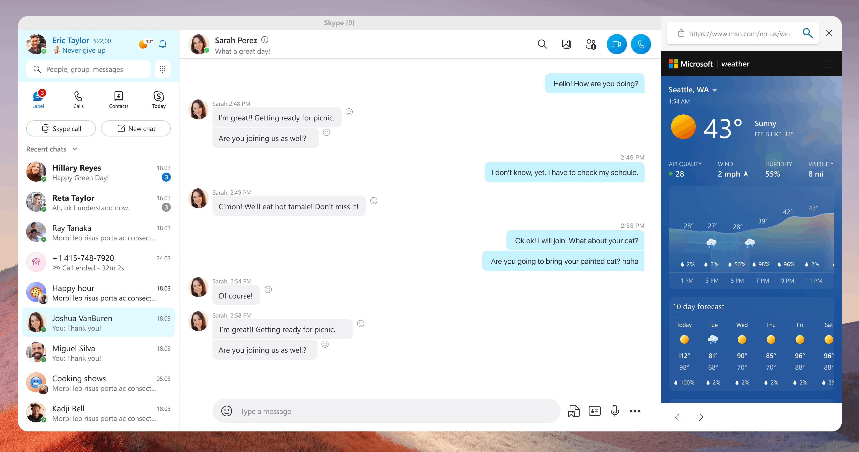 Skype Insider 8.99 introduce il Meteo e altre novità