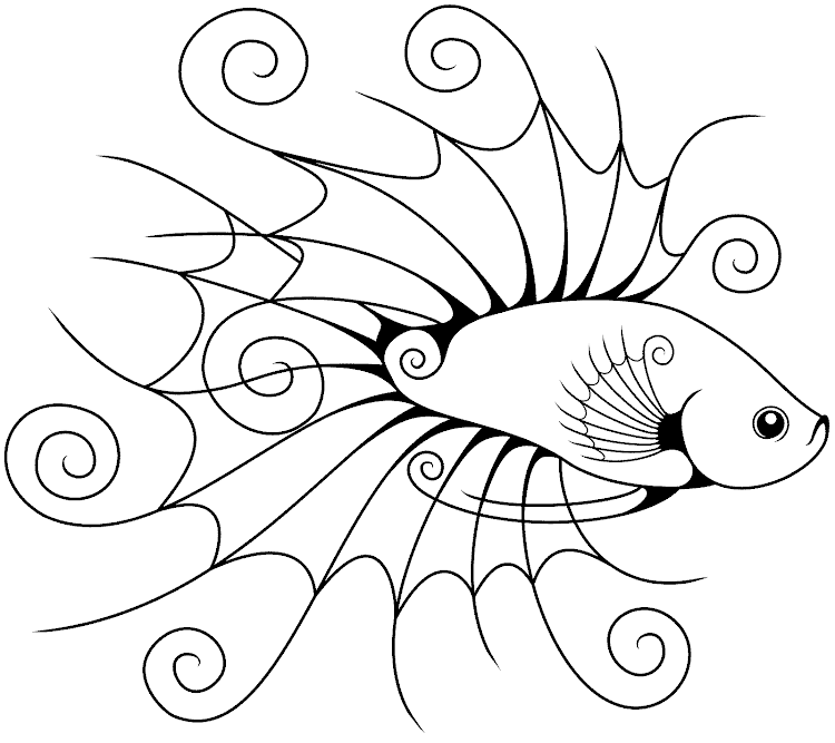 gambar ikan cupang hias