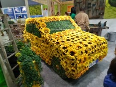 2015.02.26-090 voiture en tournesols