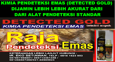 ALAT DETEKTOR EMAS