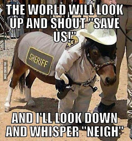 30 Funny animal captions - part 21 (30 pics), captioned animal pictures, sheriff pony