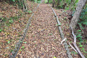 Autumn leaf-lined trail, woods, Saion Park