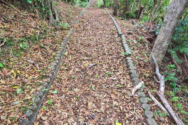 Autumn leaf-lined trail, woods, Saion Park