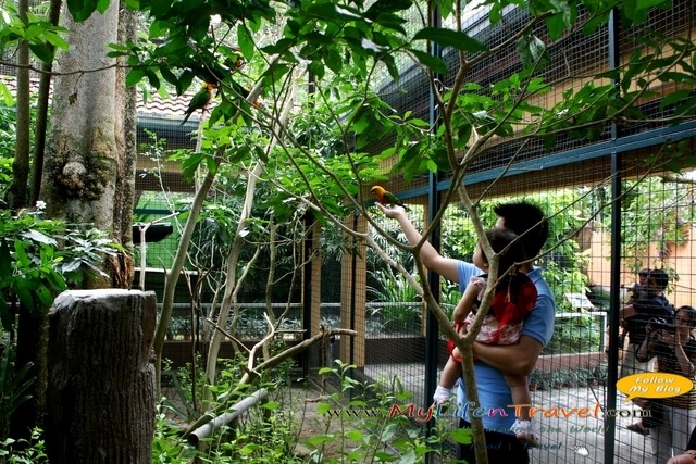 Langkawi Wildlife Park