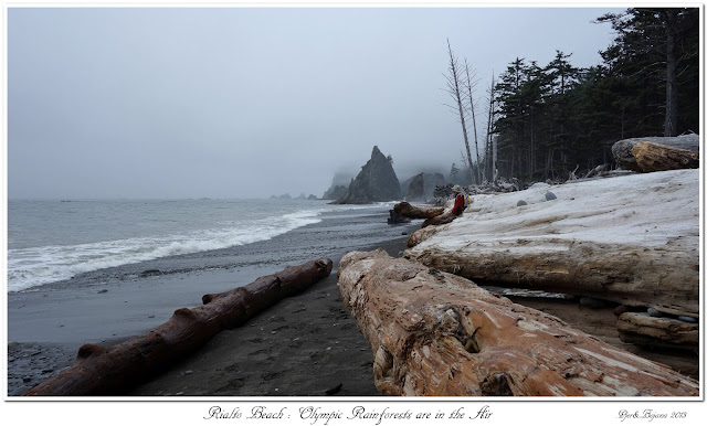 Rialto Beach: Olympic Rainforests are in the Air