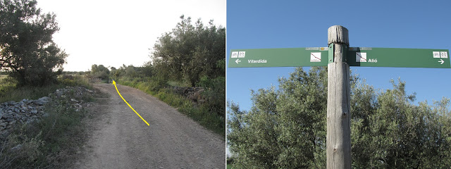 Carrerada de Vilafranca del Penedès a Montblanc al terme entre Alió i Vila-rodona