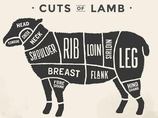 lamb cut diagram