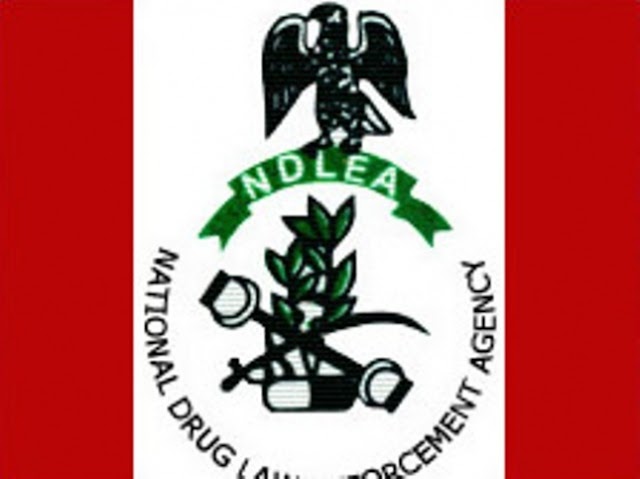 NDLEA Seizes 824kg Of Hard Drugs
