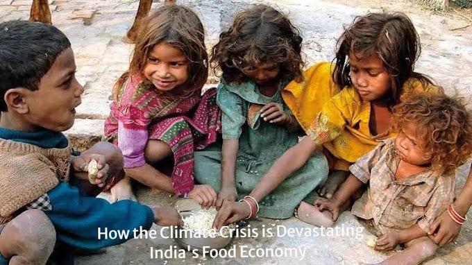 How the Climate Crisis is Devastating India's Food Economy