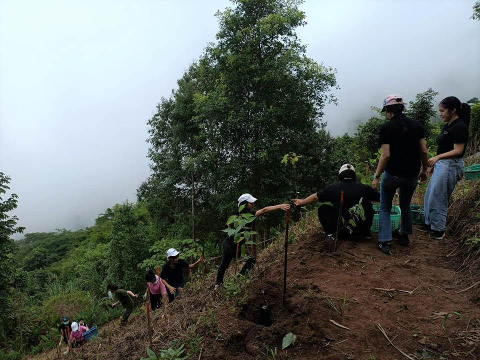 Hotel Volunteers Help Restore Chiang Mai’s Biodiverse Forest Ecosystems