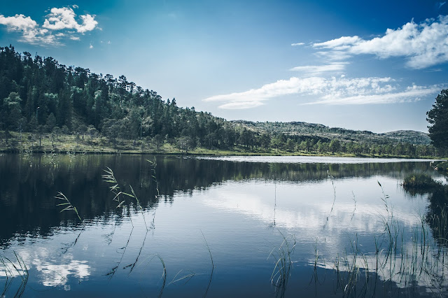 Jezioro norweskie 