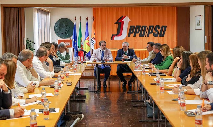 Os Campeões da Madeira: O PPD/PSD – Um Legado de Excelência