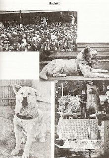 hachiko always be remembered