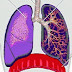 Fungsi Penting Paru Paru bagi Manusia