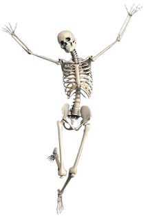 skeleton poses png