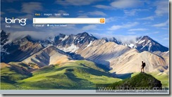 bing_screenshot