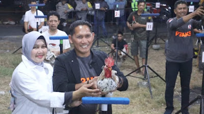 Buka Kontes Ayam Ketawa di Sidrap, Erwin Syah Dukung Pelestarian Ayam Khas Daerah ini