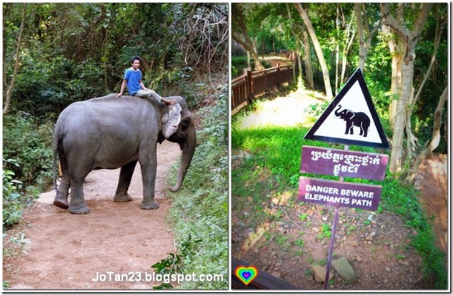 phnom-bakheng-hill-elephant-siem-reap-cambodia-sunset-jotan23 (5)