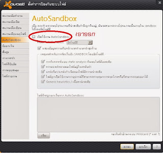 avast_autosandbox_5