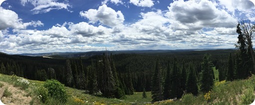 Panoramic of Yellowstone Mountains
