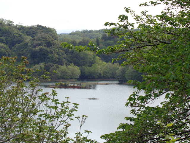 緑水湖