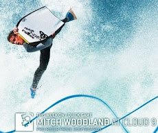 Blog de Mitch Woodland