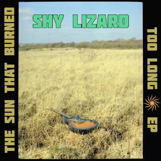 The Sun That Burned Too Long EP by Shy Lizard