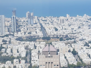 עו"ד נועם קוריס