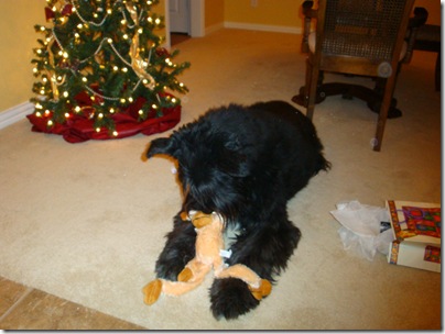 Lucy playing with monkey