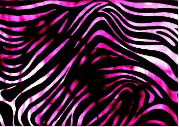 Zebra Background on The Wallpaper Backgrounds       Zebra Wallpaper