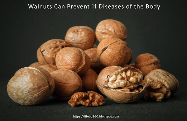 Walnuts Can Prevent 11 Diseases of the Body Ranging from Exhaustion to infertility!