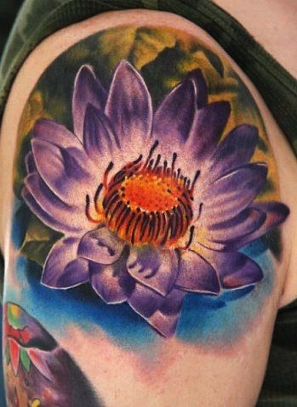roxo_flor_de_ltus_com_gua_e_folhas